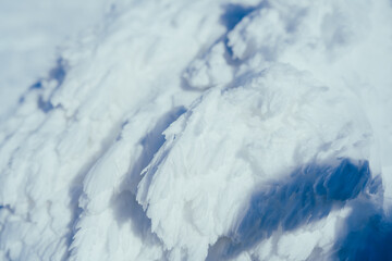 山形蔵王の美しい樹氷