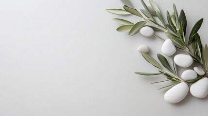 Mindfulness and meditation wellness concept: top view of spa or wellness design elements with olive branches and white pebbles on light grey background, flat lay with space for text.