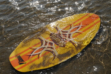 skimboard in shallow water