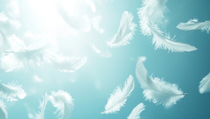 Fototapeta premium White Feathers Floating in Teal Light