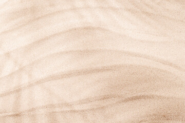 A tropical summer background featuring soft beach sand with delicate palm leaf shadows
