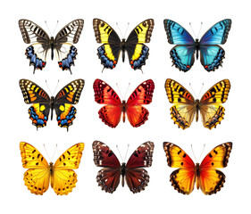 Colorful butterfly collection nature isolated on transparent background png