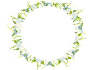 Hand drawn watercolor snowdrop flowers and leaves frame boarder on white background. Can be used for textile, Scrapbook design, banner, greeting card, invitation
