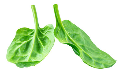 Flying Spinach leaves isolated on white background. Baby Spinach leaf levitating. Flat lay. Top...