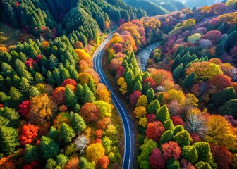 Serene Winding Forest Road in Rural Japan - Aerial View