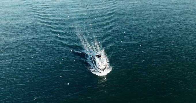 Fishing trawler moving across ocean, birds circling above. Fishermen engaged in daily work. Aerial perspective highlights vastness sea, hard work of fishing industry