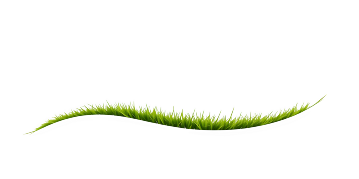 Green grass line on a white background.	