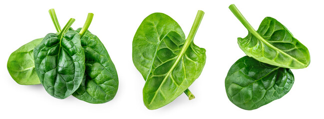 Obraz premium Flying Spinach leaves collection isolated on white background. Baby Spinach leaf Set. Flat lay. Top view. Espinach leaves