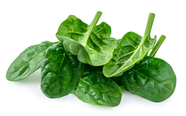 Organic Spinach leaves isolated on white background. Baby Spinach leaf Flat lay. Top view. ...