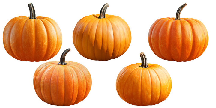 Set of Halloween pumpkins, Carved halloween jack o lantern pumpkin isolated on transparent background, Halloween pumpkin png	