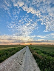 Chemin couché de soleil 1