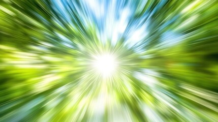 Obraz premium Speed, forest, sunlight, zoom, motion, nature, background, design