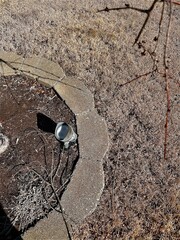 Garden light with shadows
