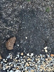 Pebbles and mulch 