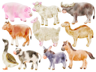 Watercolor Farm and Wildlife Animal Illustration Set - Hand-Painted, Realistic, Rustic Style - Cow, Horse, Goat, Pig, Sheep, Rooster, Buffalo, Deer, Camel, Goose, Vector Illustration