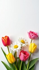 Bright mix of tulips, daisies, and roses on pristine white backdrop, vibrant, petal, nature