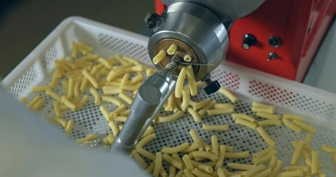 Traditional italian homemade pasta being made on machine for cutting dough. Fresh rigatoni or maccheroni pasta coming out from pasta maker, close-up. Chef uses pasta cutting machine in laboratory.