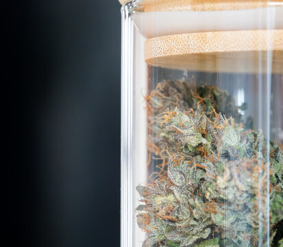 Cannabis buds in a closed glass jar for fermentation. The process will increase the taste and quality of the drug. Storage of dry flower parts.