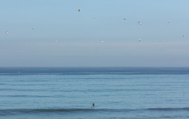 Stand up Paddle, in a cinematic setting