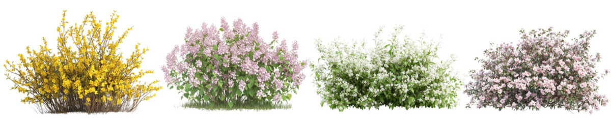  Blooming Shrubs in Springtime png set