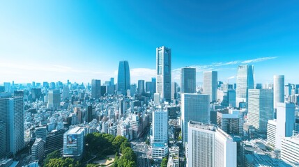 Naklejka premium Tokyo City Skyline Aerial View on Sunny Day