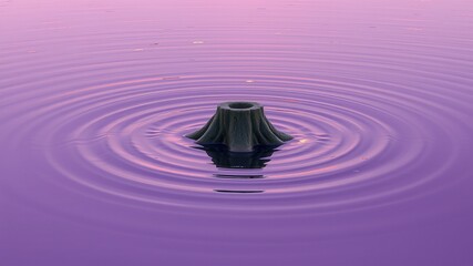 Calm Water, Reflections, and a Trunk