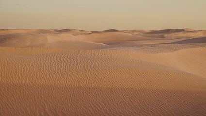 Sahara desert