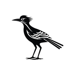 Fototapeta premium Silhouette of a Roadrunner