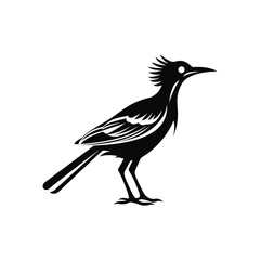 Obraz premium Silhouette of a Roadrunner