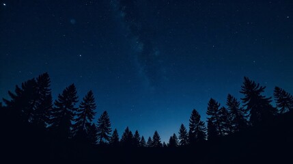 Naklejka premium Serene Night Sky Above Silhouetted Coniferous Trees Under a Celestial Canopy of Stars