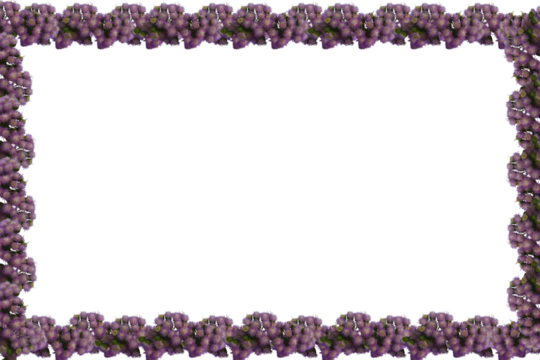 Purple floral frame, Purple flower border, Purple floral frame, purple flower.