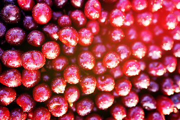 Cherry with drops water, background, texture. Lots of cherries on sunset. Cherry background. Beautiful Red berries background. Delicious Cherry berry background. Bunch of red cherries in bright light