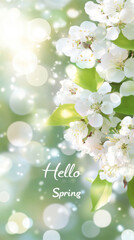 Cherry blossoms in spring with pastel soft floral branches in bloom and text Hello spring, seasonal postcard background