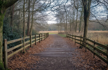Wooden walkway with a wooden fence on both sides, covered in fallen leaves and trees along the path, leading to a forest at the end of the pathway