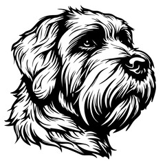 Barbet Dog Intricate black and white dog illustration featuring detailed canine facial features