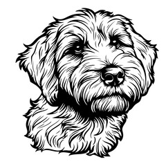 Barbet Dog Detailed black and white illustration of a labradoodle puppy with intricate fur patterns