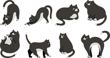 Obraz premium cat illustration_black cat
