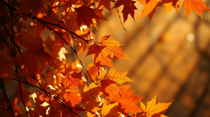 Obraz premium Autumn leaves illuminated by warm sunlight, creating a serene, golden atmosphere with vibrant orange, yellow, and red hues
