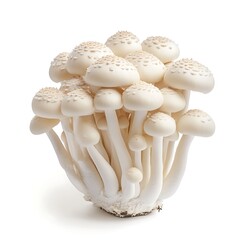 Shimeji Mushrooms: A cluster of fresh shimeji mushrooms, their creamy white caps dotted with tiny brown specks, stand out against a clean background.&nbsp;