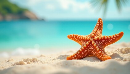 Close-up starfish, tropical beach scene, ocean backdrop, nature photography, beach background, seascape