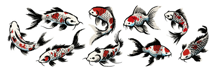 Hand-drawn illustration of koi fish in Japanese art style, featuring elegant movement, detailed scales, and vibrant red, black, and white patterns