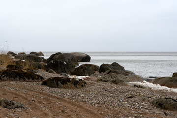 Dark black and pink granite boulders on the sandy and pebble shore of the Baltic Sea, spring. On the seashore, in the foreground, are traces of ATV tires. Cloudy, light drizzle