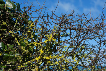 Saint-Quay-Portrieux, piscine naturelle et plongeoir - Côtes d’Armor, Bretagne