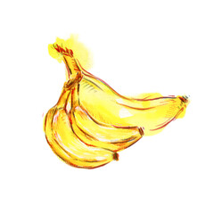 Close up vector yellow banana Illustration on white background, Isolated hand drawn exotic summer fruite print, Watercolor contemporary Clip art for logo, packaging of natural cosmetics, banner, label