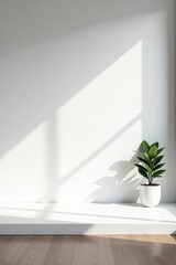 Stark white wall, uniformly lit Perfect for product display , plain, clean
