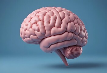 Pink Brain Model on Blue Background: Anatomical Illustration for Medical, Scientific, and Educational Purposes Depicting Intelligence and Cognitive Function.