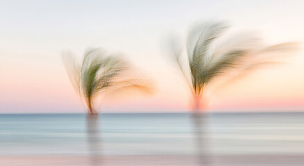 Abstract blurred palm trees against serene beach sunset, motion imitation background with copy space