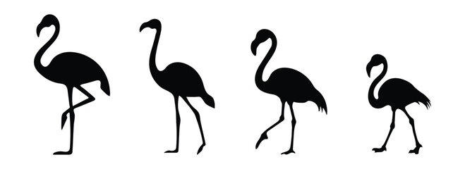 Flamingo on white background. Collection of Flamingo silhouettes in various forms. Side view and full body for design. Vector illustration. © cofficevit