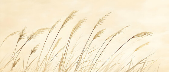 Beige grass field, windy day, nature