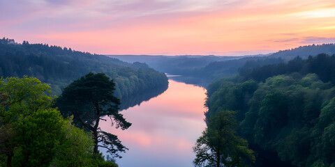 A forest filled with trees and a river running through it.